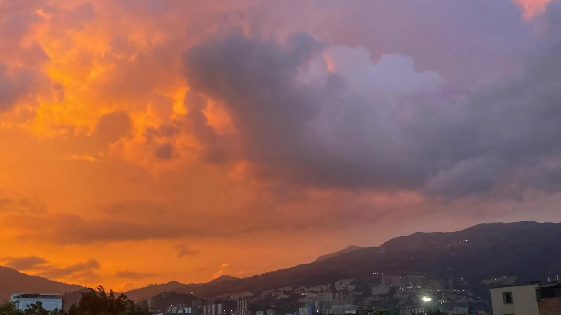 Selva House Bed & Breakfast Medellin