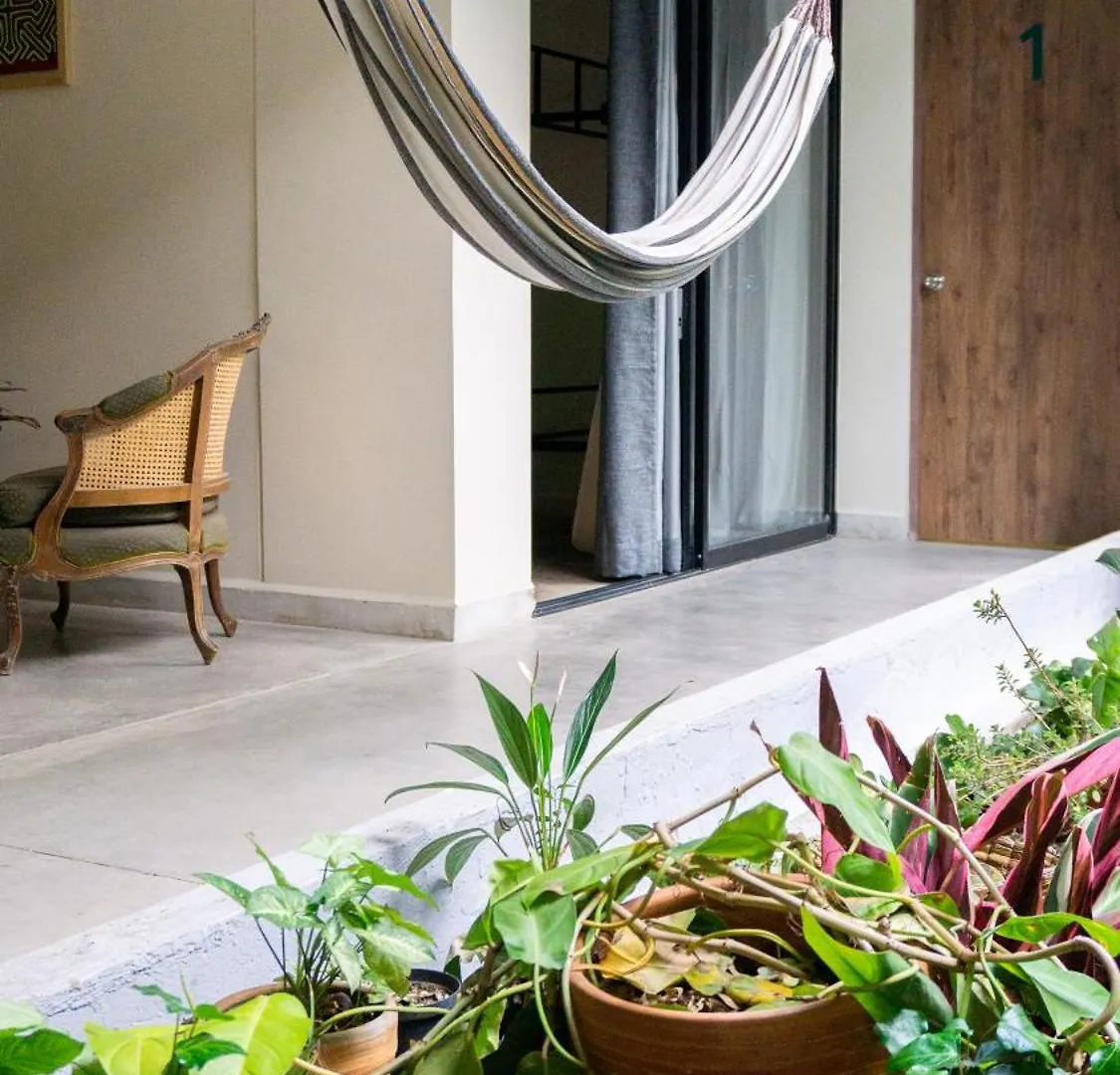 Bed and Breakfast Selva House Medellín