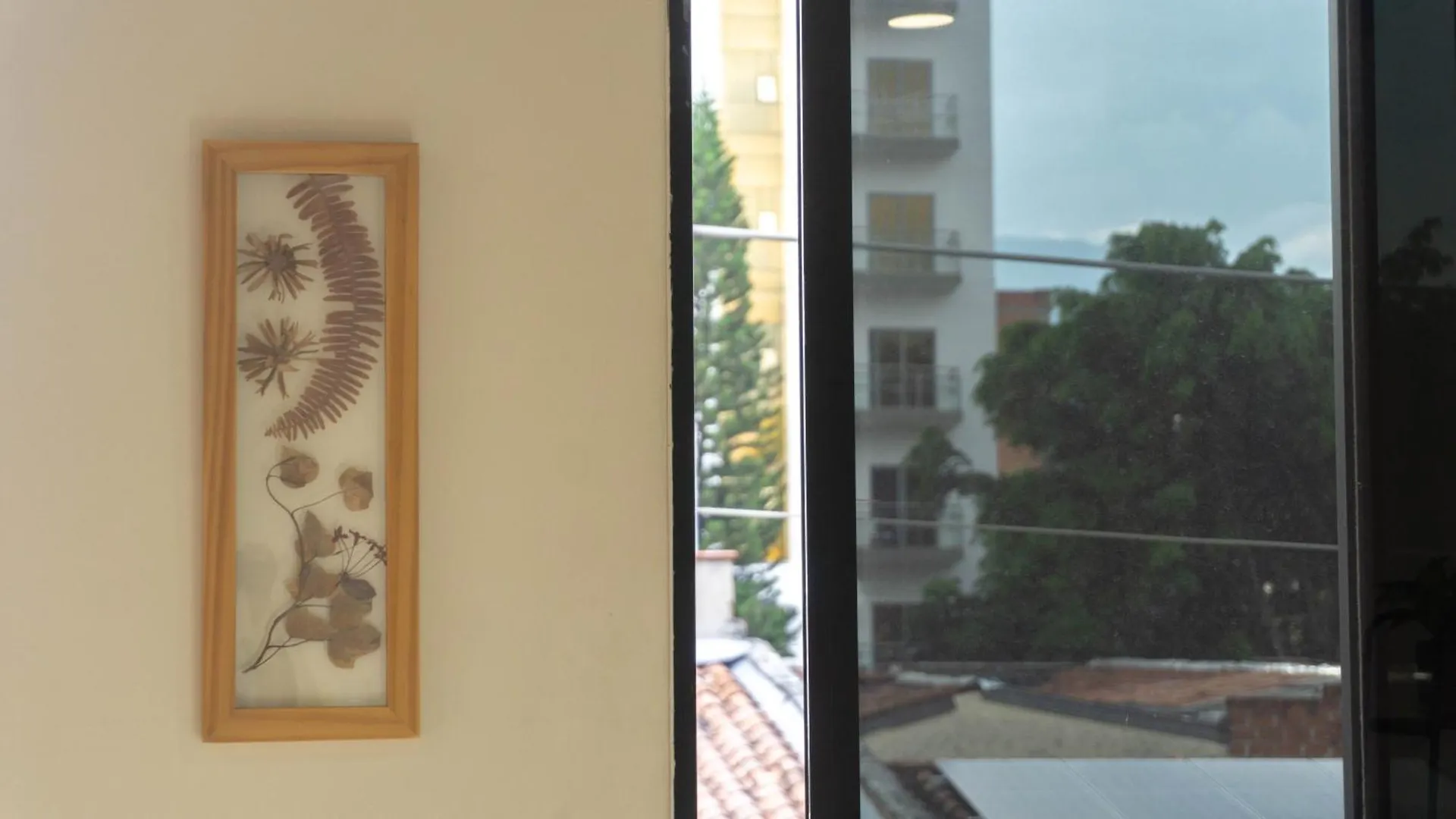 Bed and Breakfast Selva House Medellín Colombia