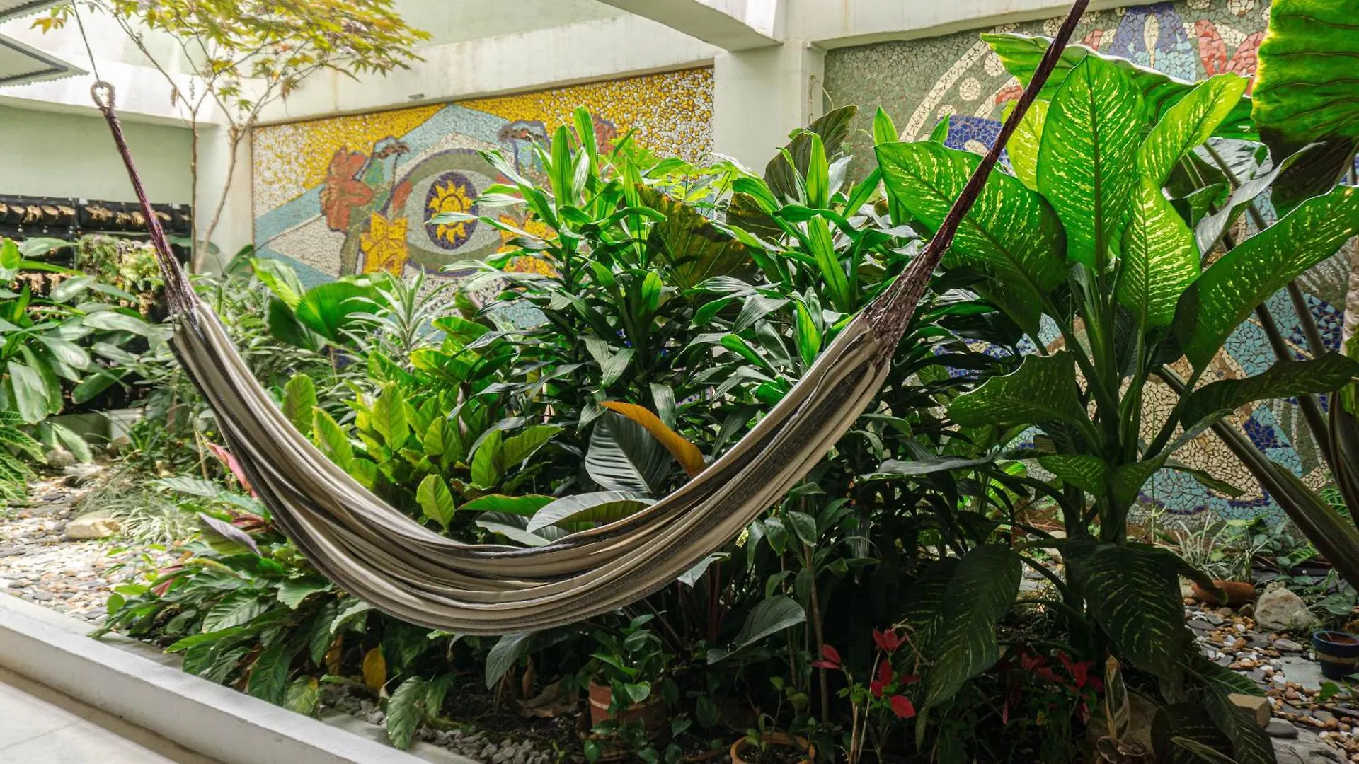 Bed and Breakfast Selva House Medellín